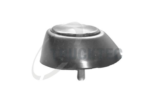 0253221 Trucktec Відбійник дверей